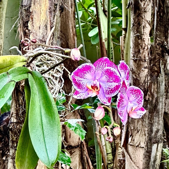 Meet your Posher - Picture 10 of 12